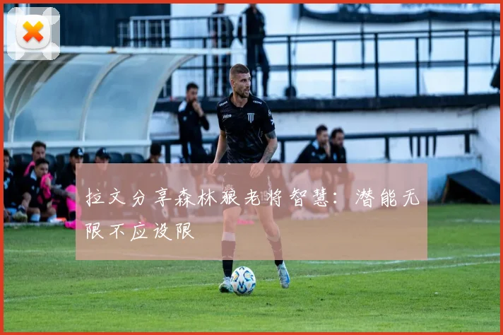 拉文分享森林狼老将智慧：潜能无限不应设限