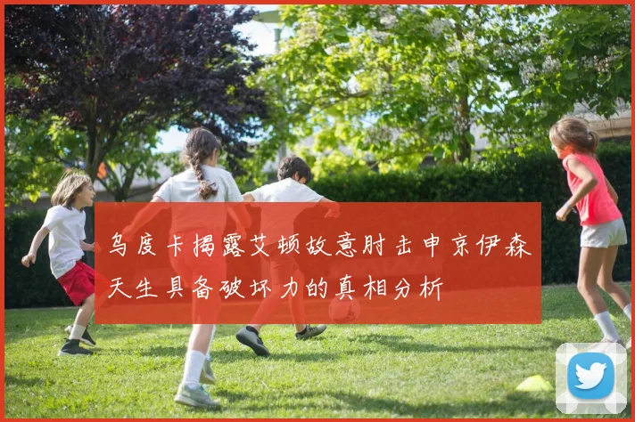 乌度卡揭露艾顿故意肘击申京伊森天生具备破坏力的真相分析