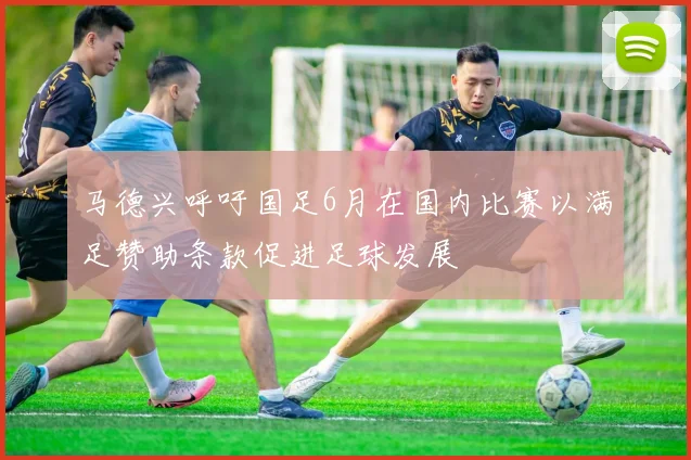 马德兴呼吁国足6月在国内比赛以满足赞助条款促进足球发展